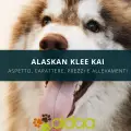 Alaskan Klee Kai: aspetto, carattere, prezzo ed allevamenti